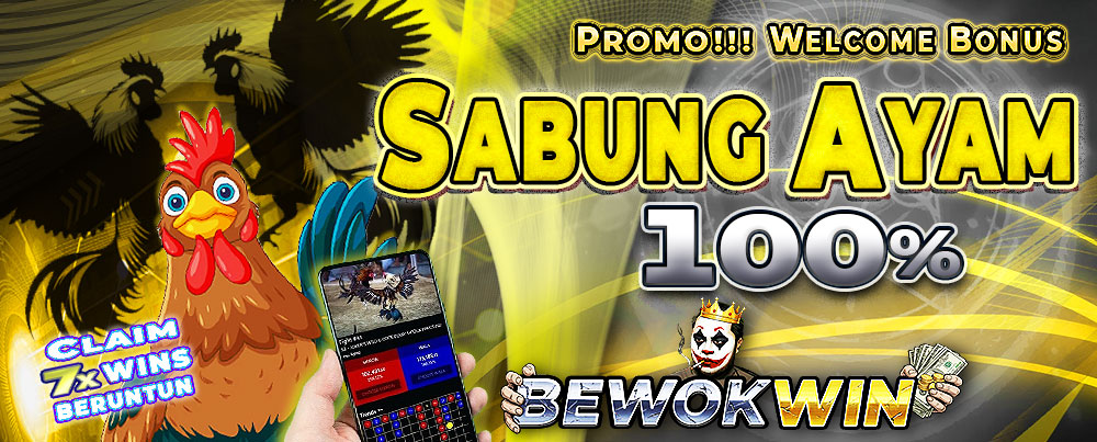 SABUNG AYAM 100%